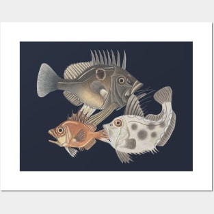 Fish Food Chain Posters and Art